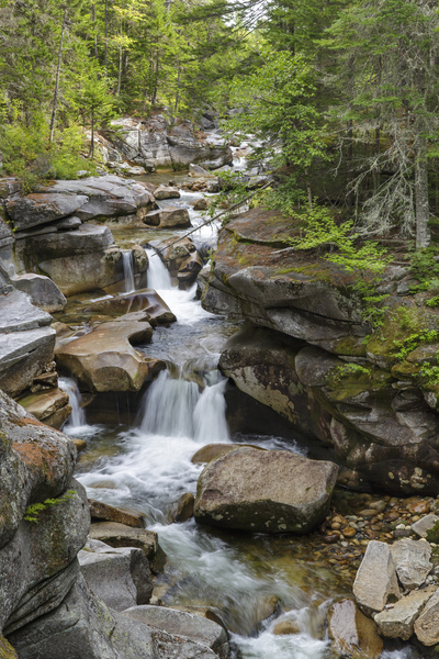 Middle Ammonoosuc Falls - Crawfords Purchase New Hampshire  Print