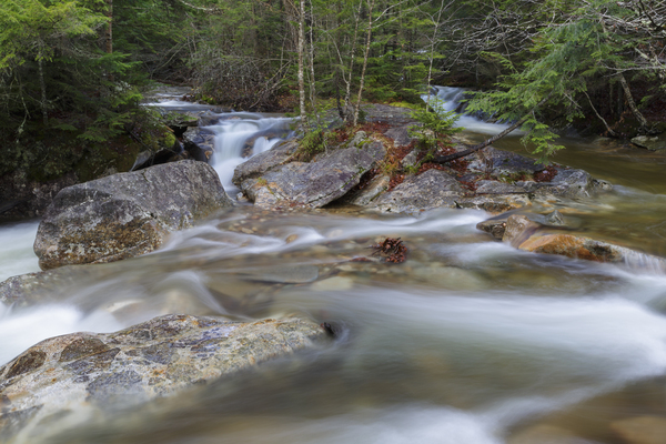 Pemigewasset River - Franconia Notch State Park New Hampshire Print