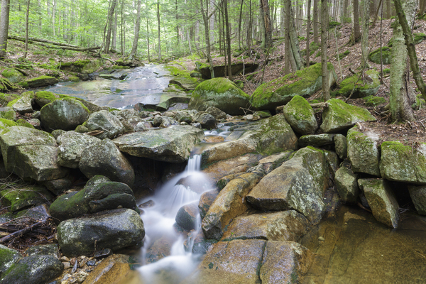 Pollard Brook - Lincoln New Hampshire Print