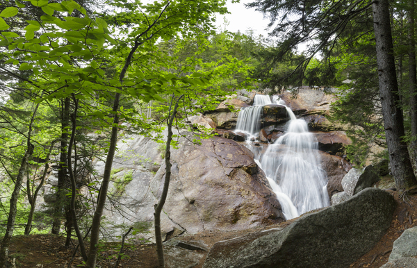Harvard Brook - Lincoln New Hampshire Print