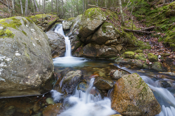 Flume Brook - Franconia Notch New Hampshire Print