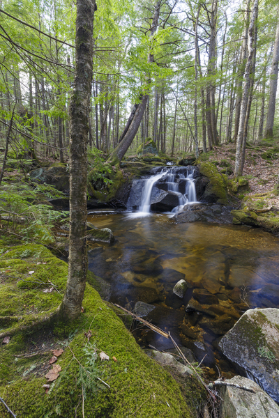 Crooked Brook - North Woodstock New Hampshire Print