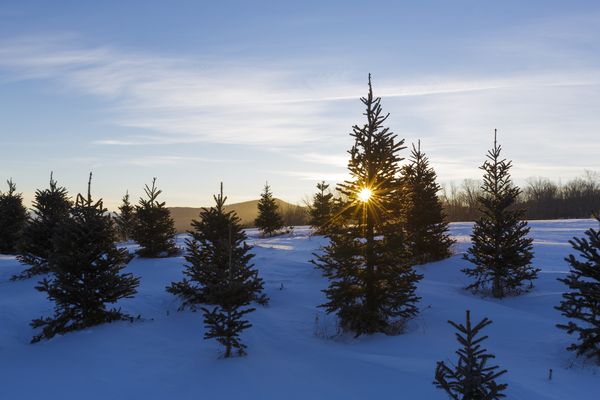 The Rocks Estate - Bethlehem New Hampshire Print