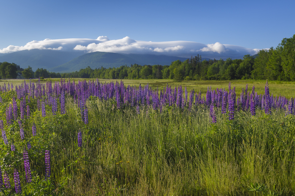 Valley Road - Jefferson New Hampshire Print