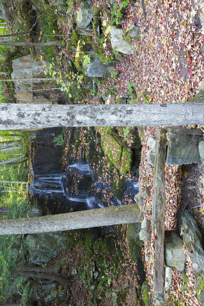 Rollo Fall - Randolph New Hampshire Print