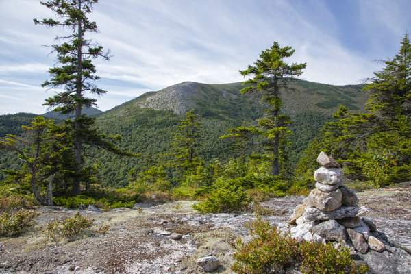 Bicknell Ridge Trail - White Mountains New Hampshire Print
