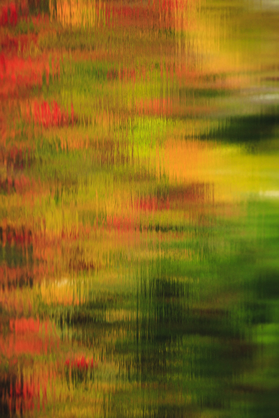 Wildlife Pond - Bethlehem  New Hampshire  Print