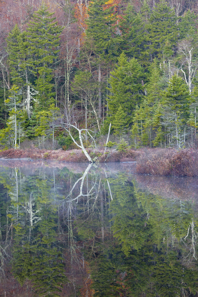 Upper Hall Ponds - Sandwich New Hampshire Print