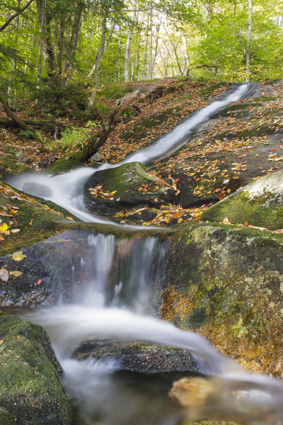 Clough Mine Brook - Kinsman Notch New Hampshire Print