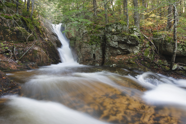 Ellens Falls - Albany New Hampshire Print