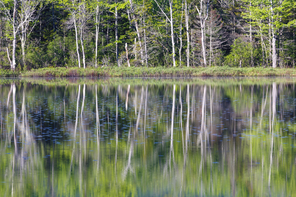 Elbow Pond - North Woodstock New Hampshire Print