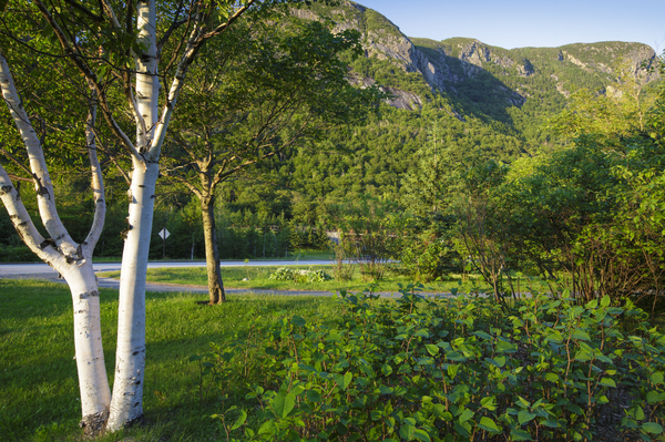 Eagle Cliff - Franconia Notch State Park New Hampshire Imprimer