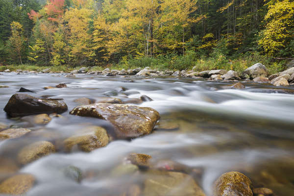 Ammonoosuc River - Carroll New Hampshire Print