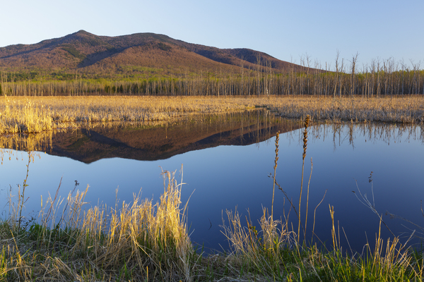 Pondicherry Wildlife Refuge - Jefferson New Hampshire Print
