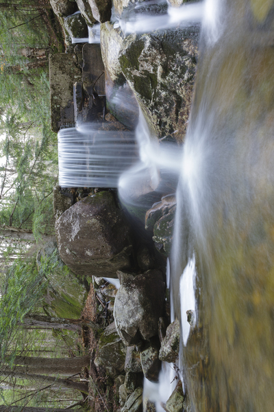 Gibbs Brook - White Mountains New Hampshire Print