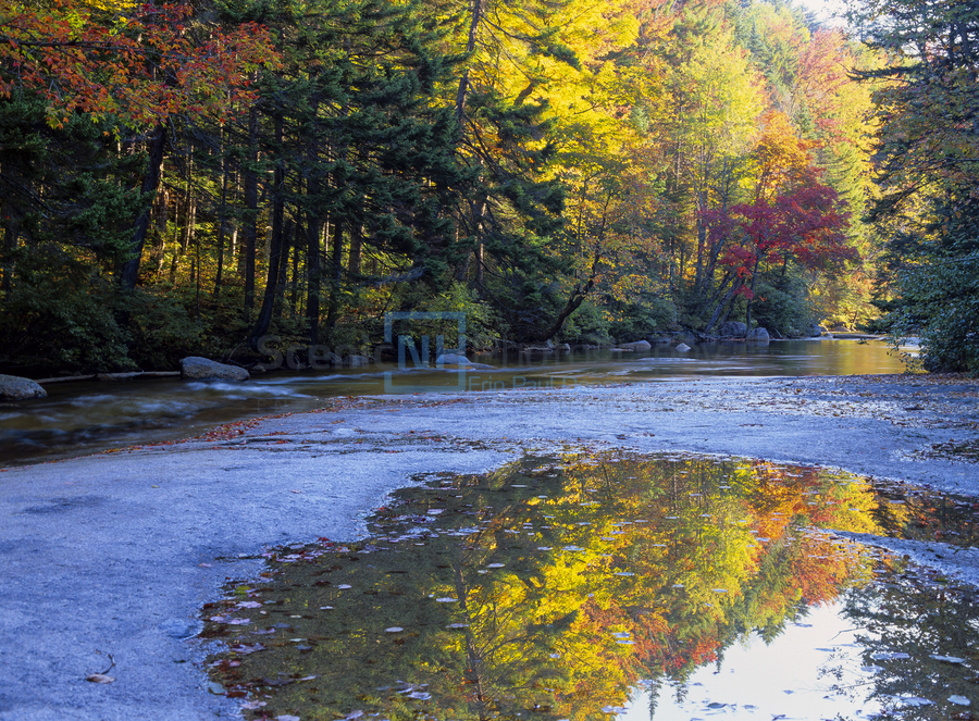 Swift River - White Mountains New Hampshire  Print