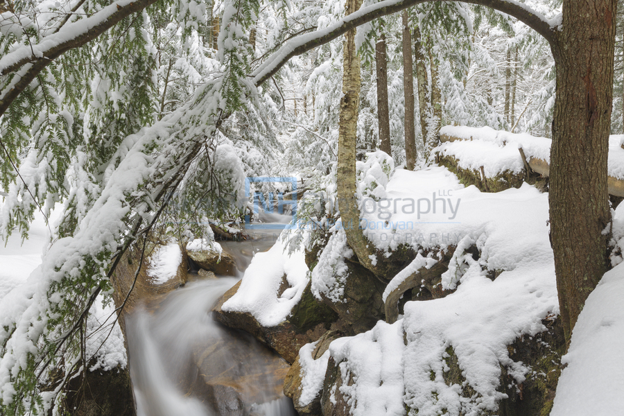 Pemigewasset River - Franconia Notch State Park New Hampshire  Print