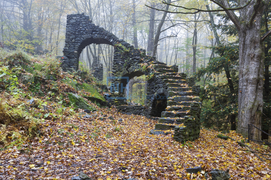 Madame Sherri Forest - Chesterfield New Hampshire  Print