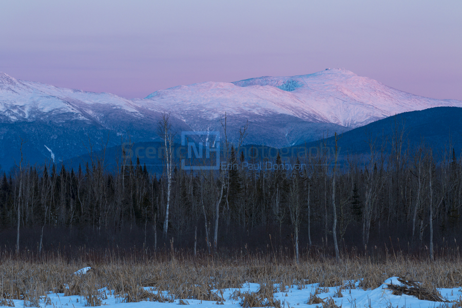 Pondicherry Wildlife Refuge - Jefferson New Hampshire  Print