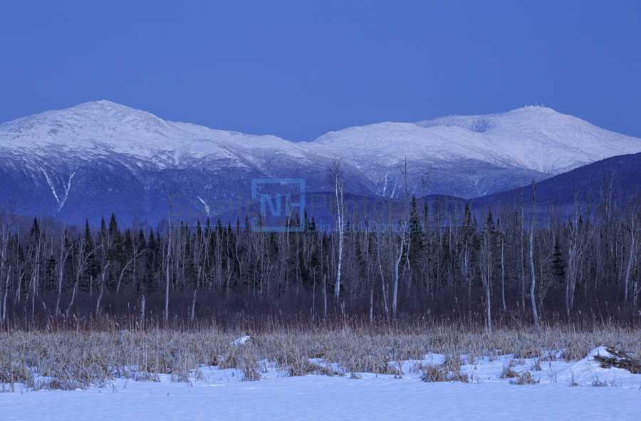 Pondicherry Wildlife Refuge - Jefferson New Hampshire  Print