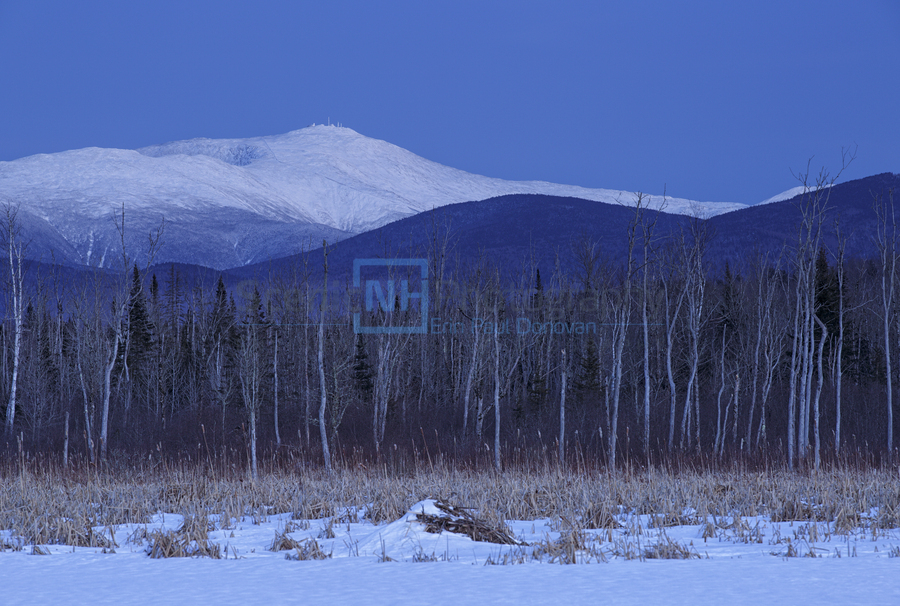 Mount Washington - Pondicherry Wildlife Refuge New Hampshire  Print