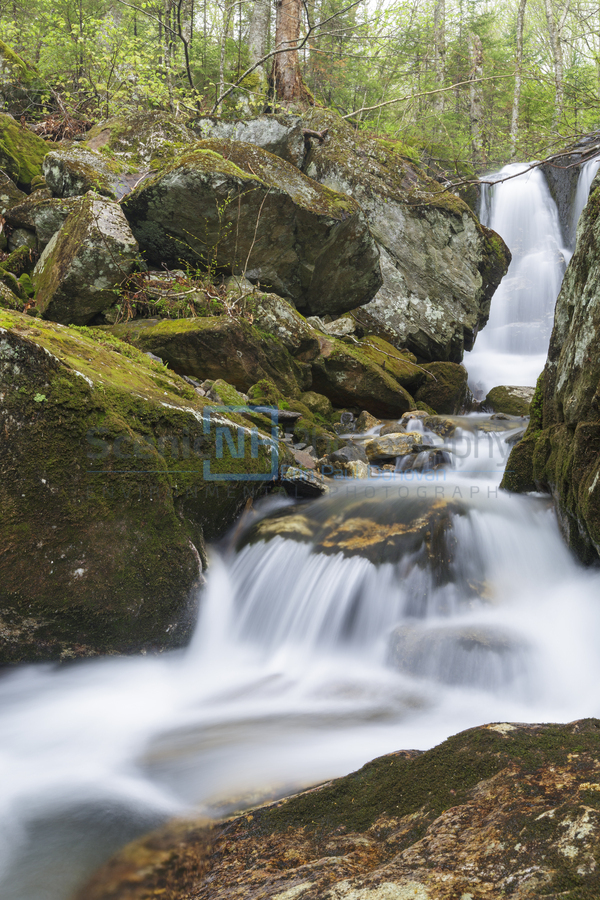 Stark Falls Brook - Kinsman Notch New Hampshire   Print