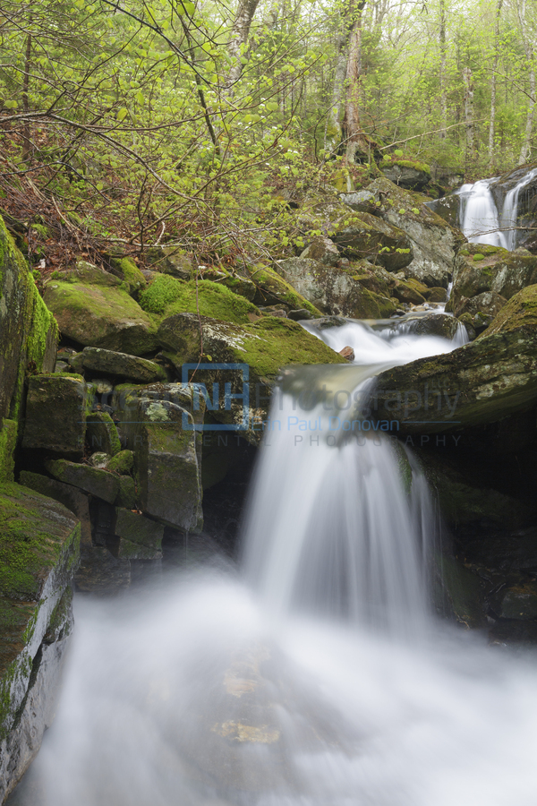 Stark Falls Brook - Kinsman Notch New Hampshire   Print