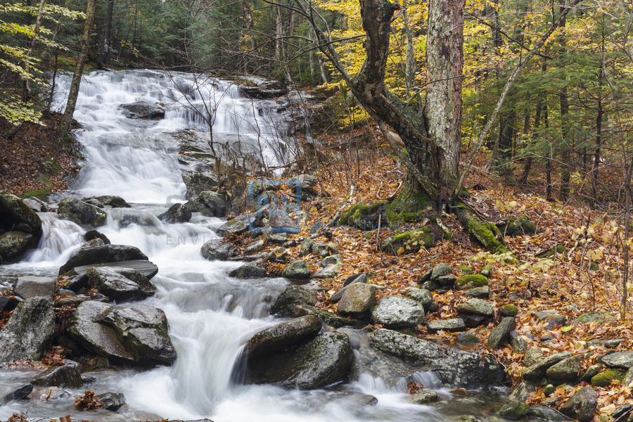 Stark Falls - North Woodstock New Hampshire  Print