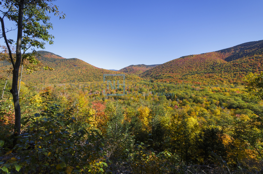 Crawford Notch - Harts Location New Hampshire  Print