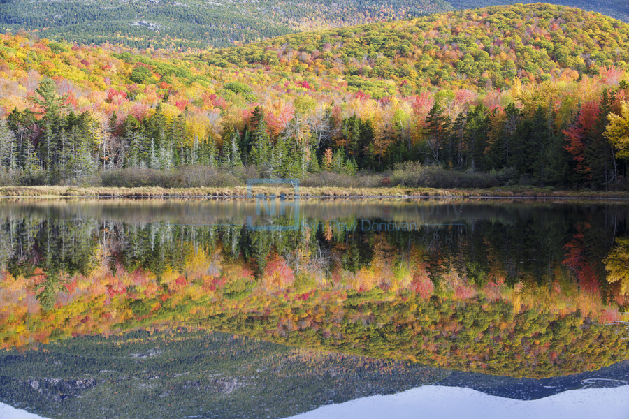 Kiah Pond - Sandwich New Hampshire  Print