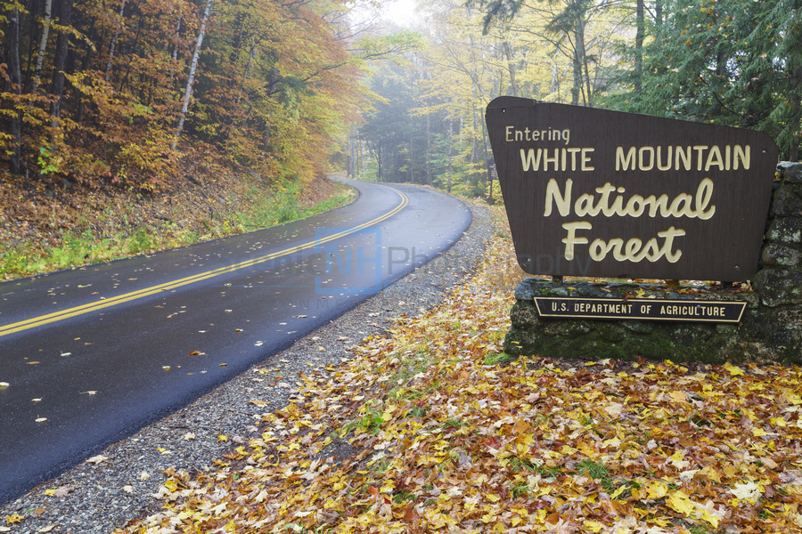 Tripoli Road - Thornton New Hampshire  Print