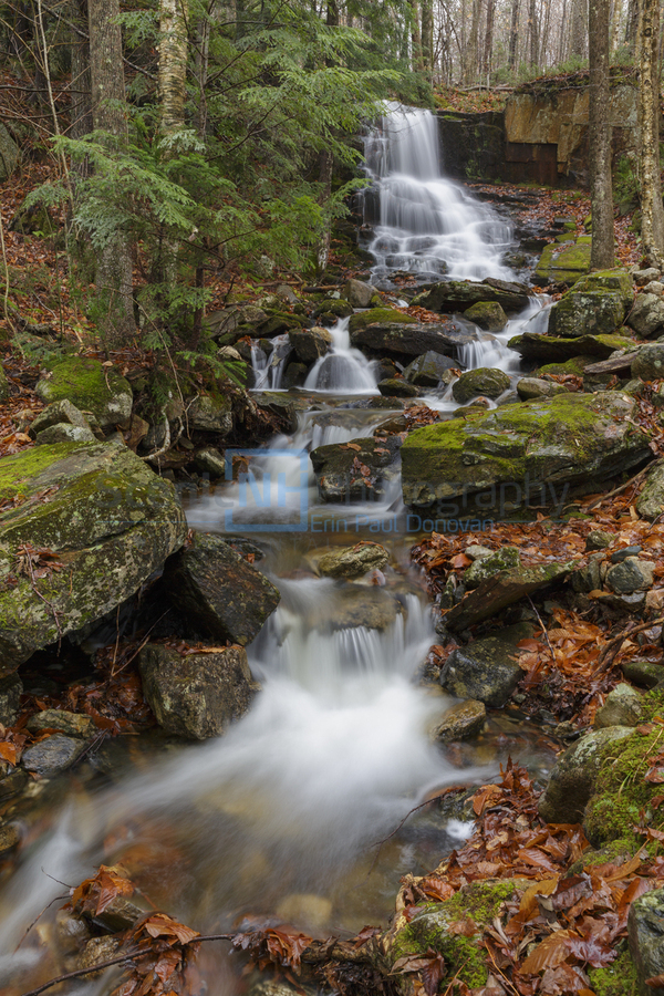 Rollo Fall - Randolph New Hampshire  Print