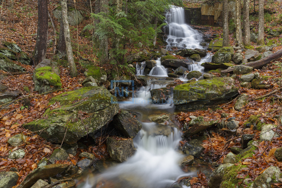 Rollo Fall - Randolph New Hampshire  Print