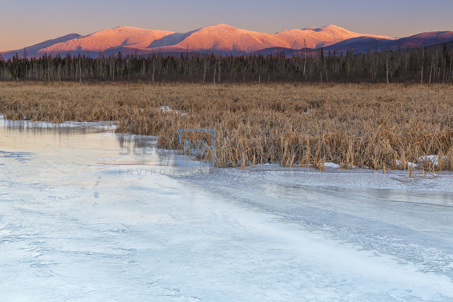 Pondicherry Wildlife Refuge - Jefferson New Hampshire  Print
