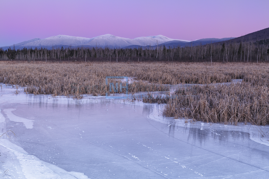 Presidential Range - Pondicherry Wildlife Refuge White Mountains  Print