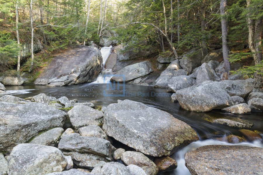 Harvard Brook - Lincoln New Hampshire  Print