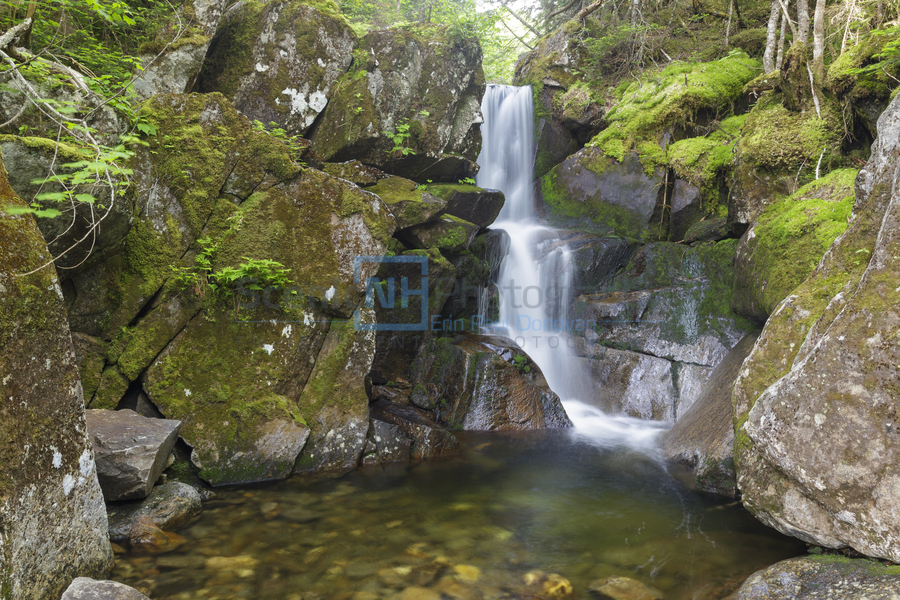 Duck Fall - Low and Burbanks Grant New Hampshire   Print