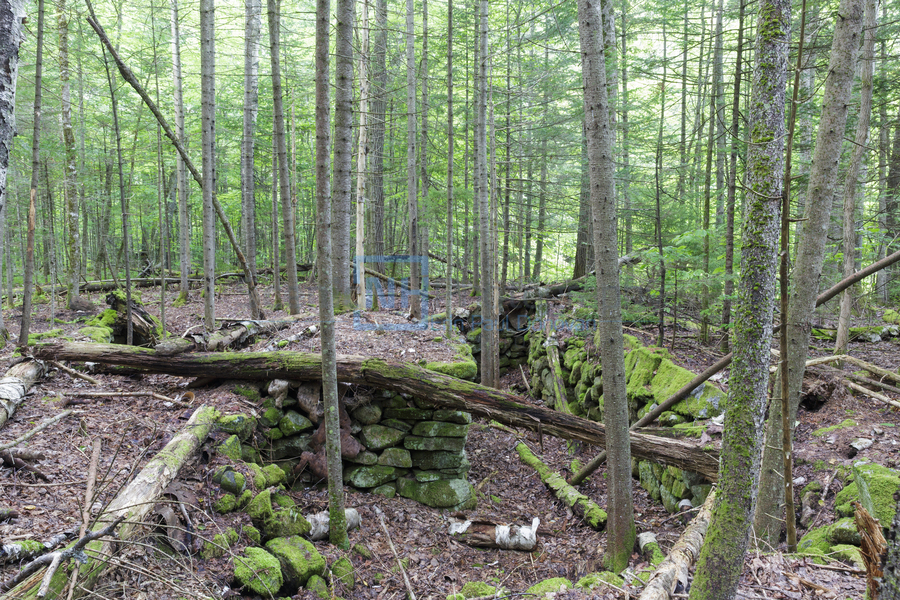 Breezy Point - Warren New Hampshire  Print