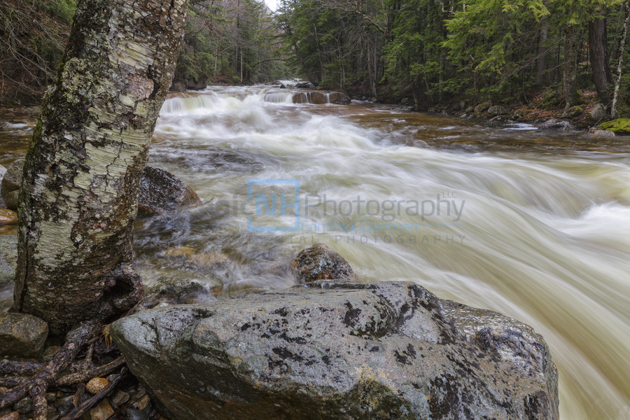 Pemigewasset River - Franconia Notch State Park New Hampshire  Print
