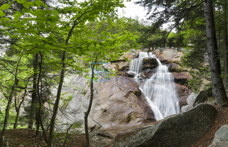Harvard Brook - Lincoln New Hampshire  Print