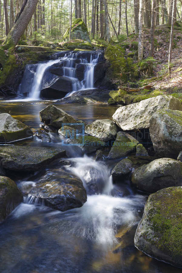 Crooked Brook - North Woodstock New Hampshire  Print