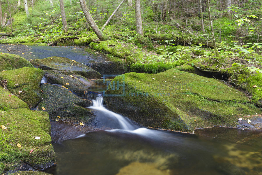 Scarface Brook - Bethlehem New Hampshire  Print