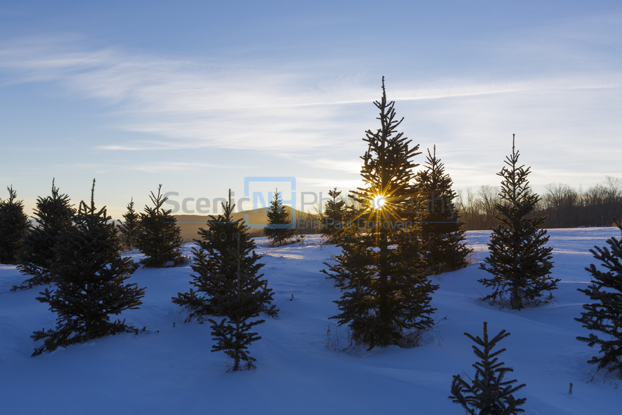 The Rocks Estate - Bethlehem New Hampshire  Print