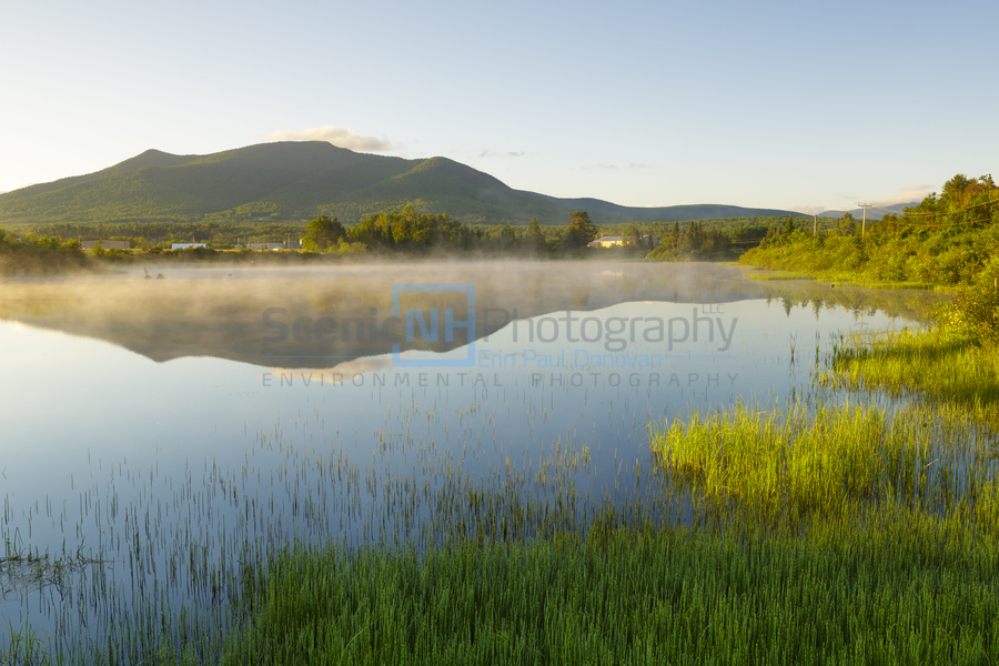 Airport Marsh - Whitefield New Hampshire  Print