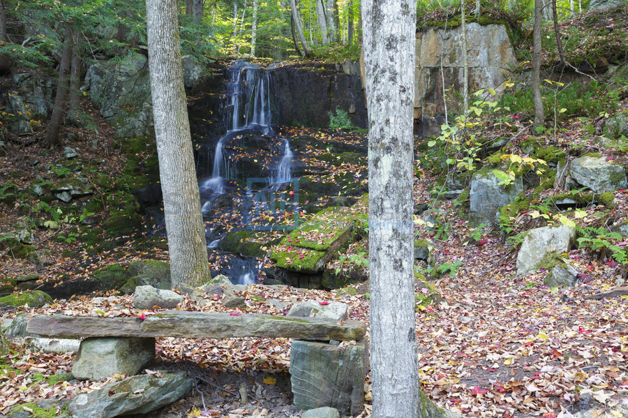Rollo Fall - Randolph New Hampshire  Print