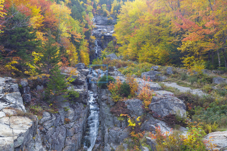 Silver Cascade - Crawford Notch New Hampshire   Print
