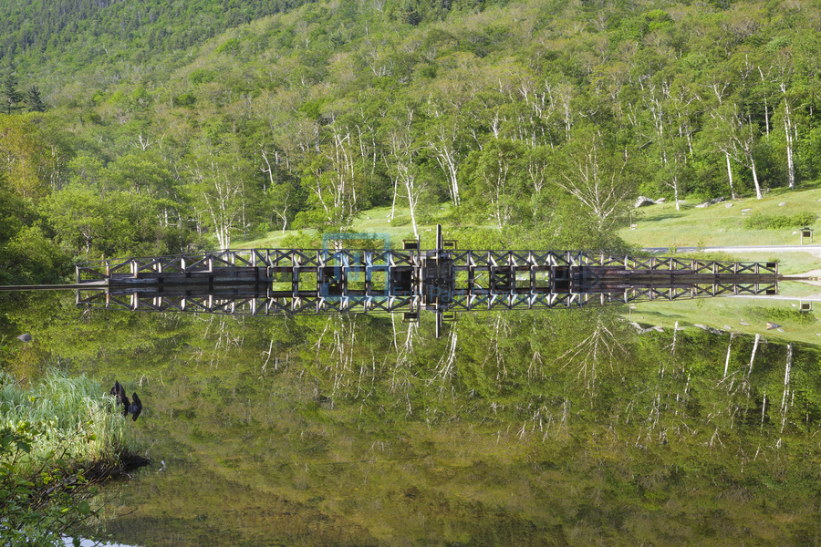 Willey House Historical Site - Crawford Notch New Hampshire  Print