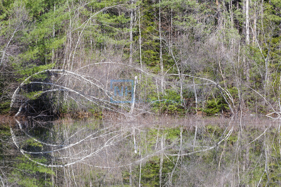 Kancamagus Highway - White Mountains New Hampshire  Print