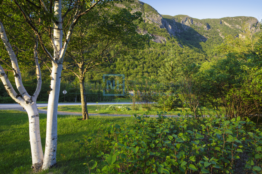 Eagle Cliff - Franconia Notch State Park New Hampshire  Imprimer