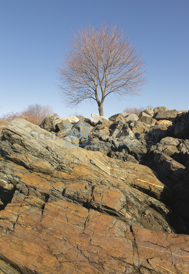 Great Island Common - New Castle New Hampshire  Print